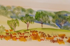 Trees1